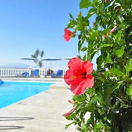 Hotel Clear Horizon Plános